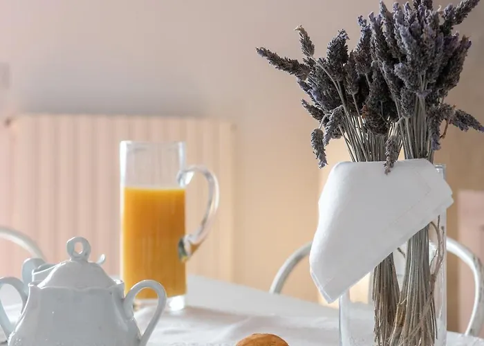 The Elegance For Apartment