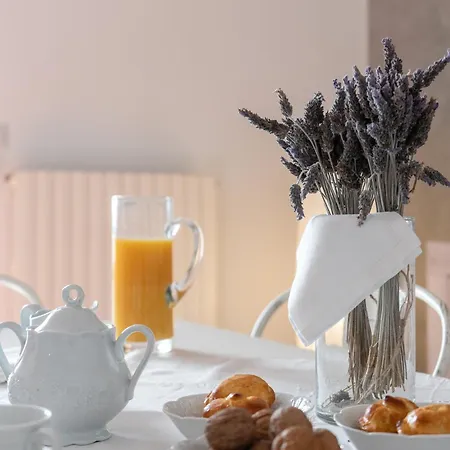 The Elegance For Apartamento