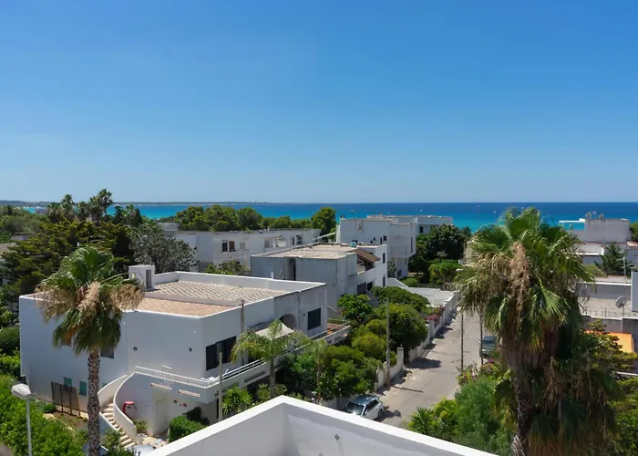 The Elegance For * Галліполі